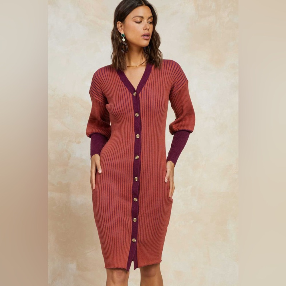 Casual Burgundy and Maroon Button-Down Dress